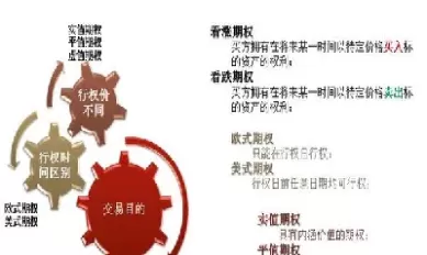 期货期权的缺点是什么(期货期权的缺点是什么呢)_https://hz.wpmee.com_黄金期货直播_第1张