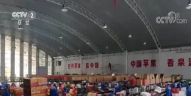 十元一斤的苹果和苹果期货(十元一斤的苹果和苹果期货一样吗)_https://hz.wpmee.com_黄金期货直播_第1张