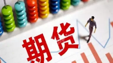 期货期权基础与实务(期货与期权实训总结)_https://hz.wpmee.com_德指期货直播_第1张