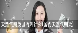工行天然气期货规则(工行外汇最新规定)_https://hz.wpmee.com_黄金期货直播_第1张