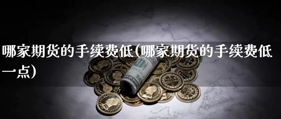 哪家期货的手续费低(哪家期货的手续费低一点)_https://hz.wpmee.com_外盘期货直播_第1张