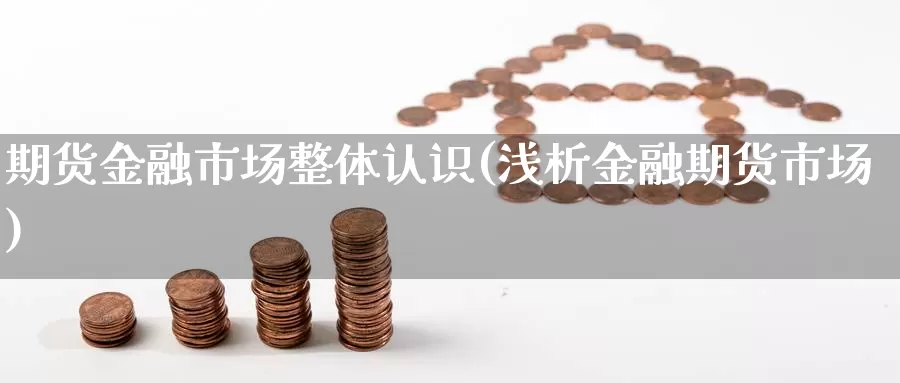 期货金融市场整体认识(浅析金融期货市场)_https://hz.wpmee.com_德指期货直播_第1张