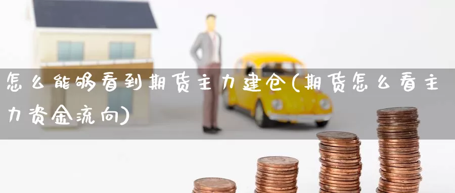 怎么能够看到期货主力建仓(期货怎么看主力资金流向)_https://hz.wpmee.com_外盘期货直播_第1张