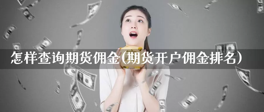 怎样查询期货佣金(期货开户佣金排名)_https://hz.wpmee.com_国际期货直播_第1张