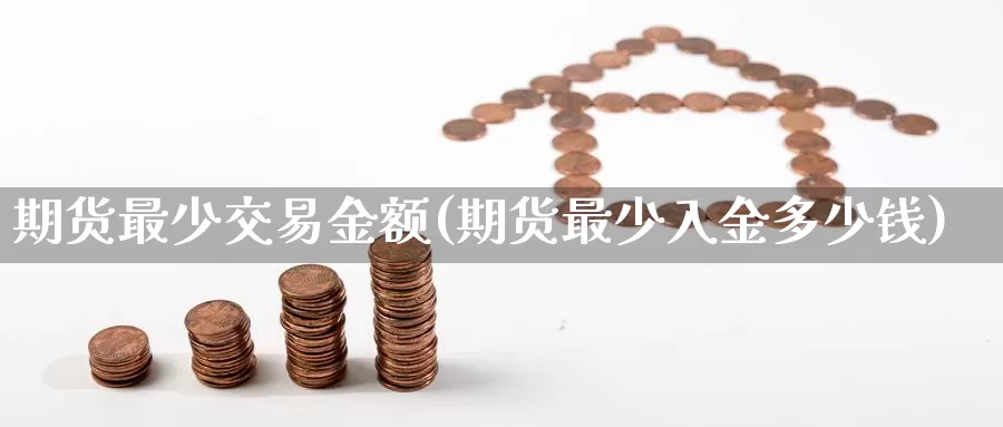 期货最少交易金额(期货最少入金多少钱)_https://hz.wpmee.com_国际期货直播_第1张