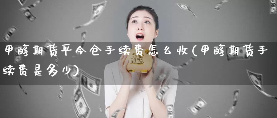 甲醇期货平今仓手续费怎么收(甲醇期货手续费是多少)_https://hz.wpmee.com_德指期货直播_第1张