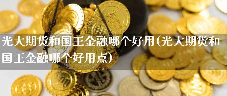 光大期货和国王金融哪个好用(光大期货和国王金融哪个好用点)_https://hz.wpmee.com_纳指期货直播_第1张