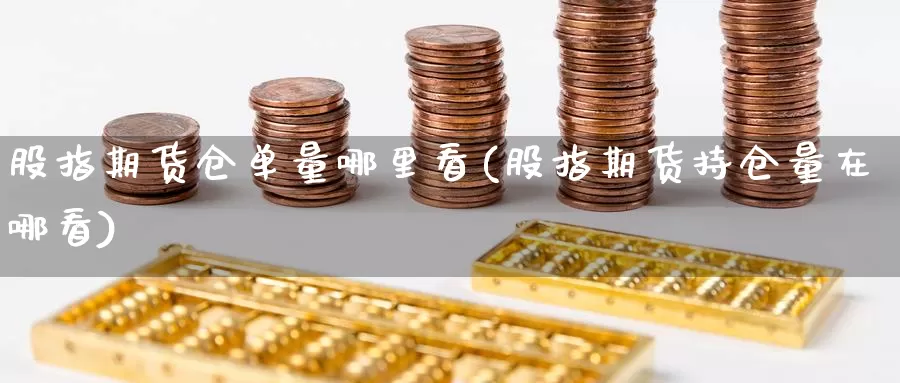 股指期货仓单量哪里看(股指期货持仓量在哪看)_https://hz.wpmee.com_外盘期货直播_第1张