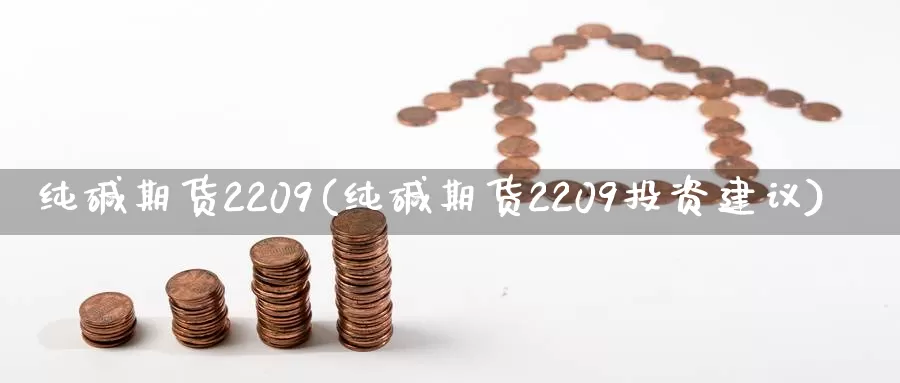 纯碱期货2209(纯碱期货2209投资建议)_https://hz.wpmee.com_外盘期货直播_第1张