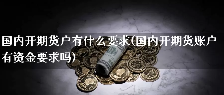 国内开期货户有什么要求(国内开期货账户有资金要求吗)_https://hz.wpmee.com_黄金期货直播_第1张