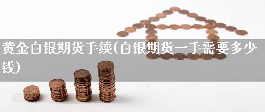 黄金白银期货手续(白银期货一手需要多少钱)_https://hz.wpmee.com_德指期货直播_第1张