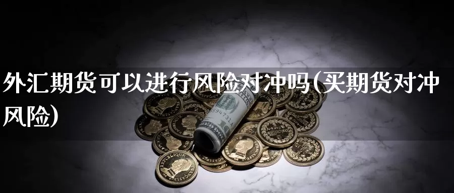 外汇期货可以进行风险对冲吗(买期货对冲风险)_https://hz.wpmee.com_纳指期货直播_第1张