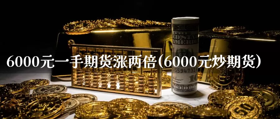 6000元一手期货涨两倍(6000元炒期货)_https://hz.wpmee.com_德指期货直播_第1张