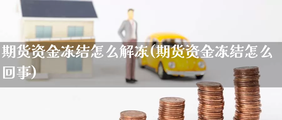 期货资金冻结怎么解冻(期货资金冻结怎么回事)_https://hz.wpmee.com_纳指期货直播_第1张