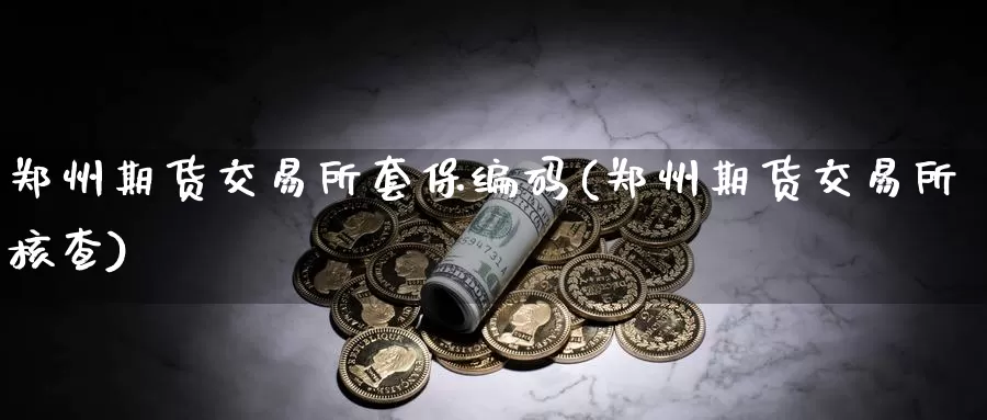 郑州期货交易所套保编码(郑州期货交易所核查)_https://hz.wpmee.com_外盘期货直播_第1张