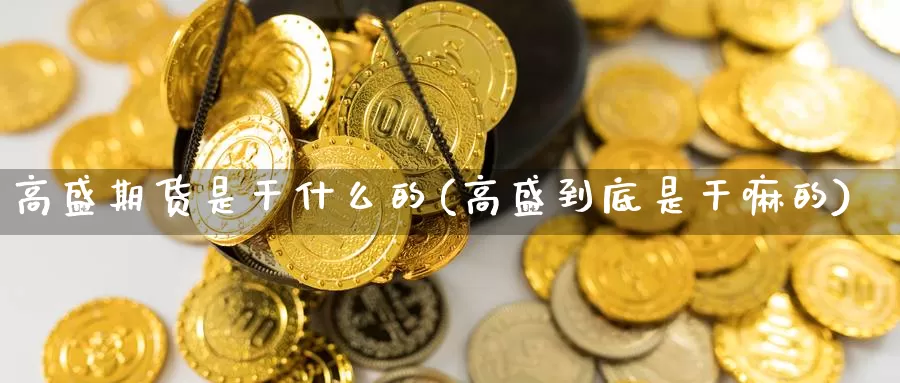 高盛期货是干什么的(高盛到底是干嘛的)_https://hz.wpmee.com_黄金期货直播_第1张