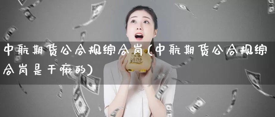 中航期货公合规综合岗(中航期货公合规综合岗是干嘛的)_https://hz.wpmee.com_外盘期货直播_第1张