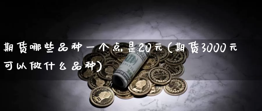 期货哪些品种一个点是20元(期货3000元可以做什么品种)_https://hz.wpmee.com_纳指期货直播_第1张