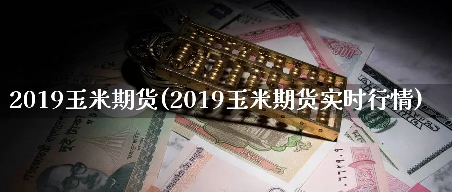 2019玉米期货(2019玉米期货实时行情)_https://hz.wpmee.com_国际期货直播_第1张