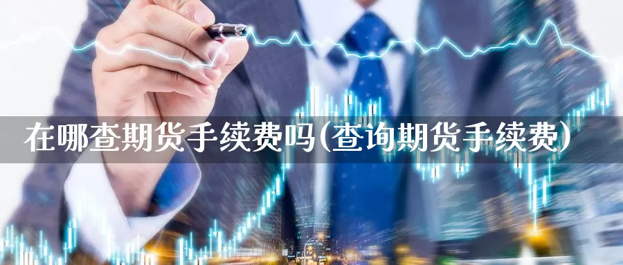 在哪查期货手续费吗(查询期货手续费)_https://hz.wpmee.com_德指期货直播_第1张