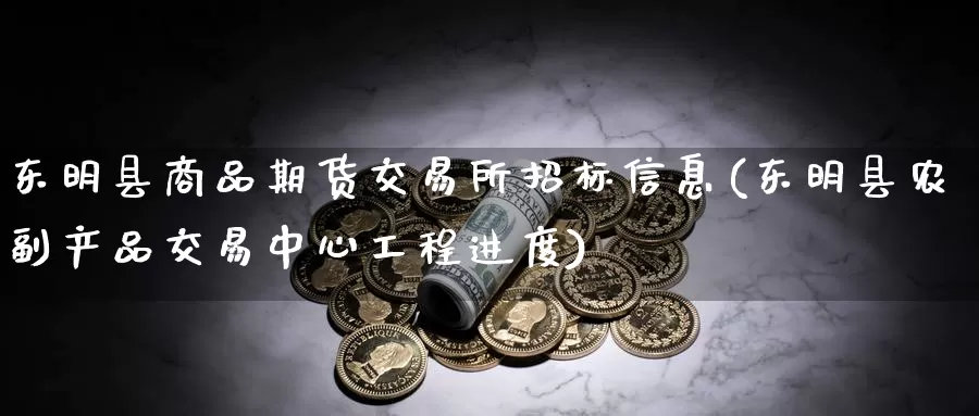 东明县商品期货交易所招标信息(东明县农副产品交易中心工程进度)_https://hz.wpmee.com_纳指期货直播_第1张