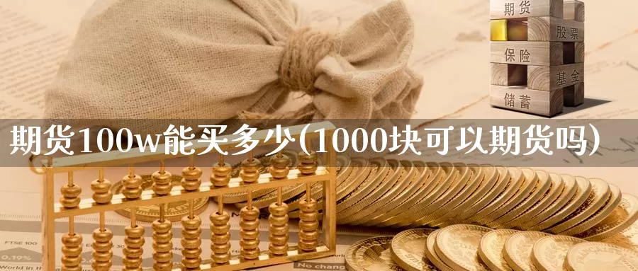 期货100w能买多少(1000块可以期货吗)_https://hz.wpmee.com_纳指期货直播_第1张