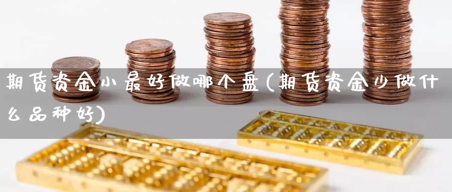 期货资金小最好做哪个盘(期货资金少做什么品种好)_https://hz.wpmee.com_纳指期货直播_第1张