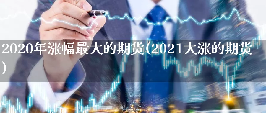 2020年涨幅最大的期货(2021大涨的期货)_https://hz.wpmee.com_纳指期货直播_第1张