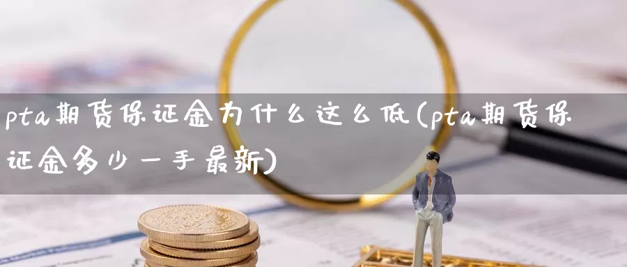 pta期货保证金为什么这么低(pta期货保证金多少一手最新)_https://hz.wpmee.com_外盘期货直播_第1张