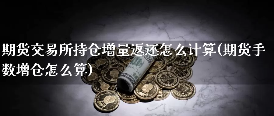 期货交易所持仓增量返还怎么计算(期货手数增仓怎么算)_https://hz.wpmee.com_纳指期货直播_第1张