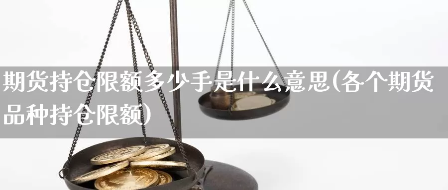 期货持仓限额多少手是什么意思(各个期货品种持仓限额)_https://hz.wpmee.com_纳指期货直播_第1张