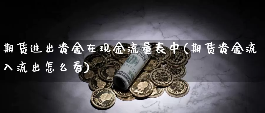 期货进出资金在现金流量表中(期货资金流入流出怎么看)_https://hz.wpmee.com_德指期货直播_第1张