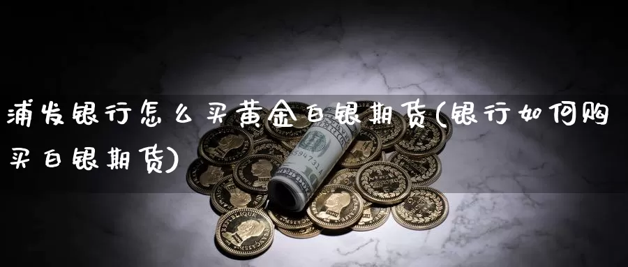 浦发银行怎么买黄金白银期货(银行如何购买白银期货)_https://hz.wpmee.com_黄金期货直播_第1张