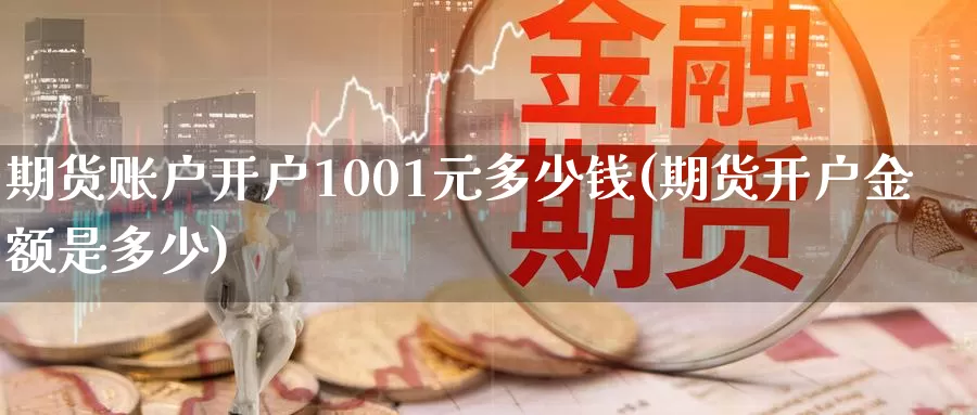 期货账户开户1001元多少钱(期货开户金额是多少)_https://hz.wpmee.com_德指期货直播_第1张