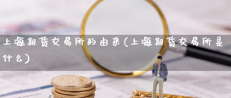 上海期货交易所的由来(上海期货交易所是什么)_https://hz.wpmee.com_德指期货直播_第1张