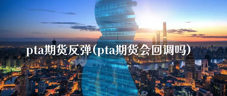 pta期货反弹(pta期货会回调吗)_https://hz.wpmee.com_纳指期货直播_第1张