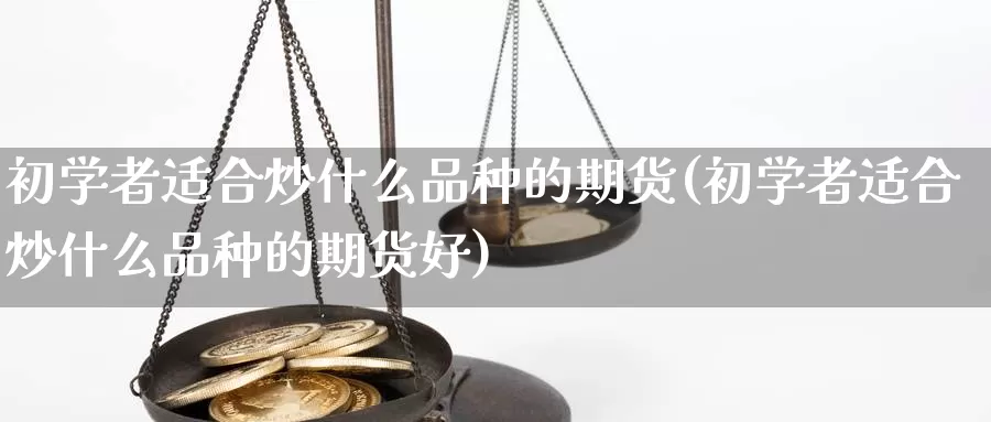 初学者适合炒什么品种的期货(初学者适合炒什么品种的期货好)_https://hz.wpmee.com_纳指期货直播_第1张