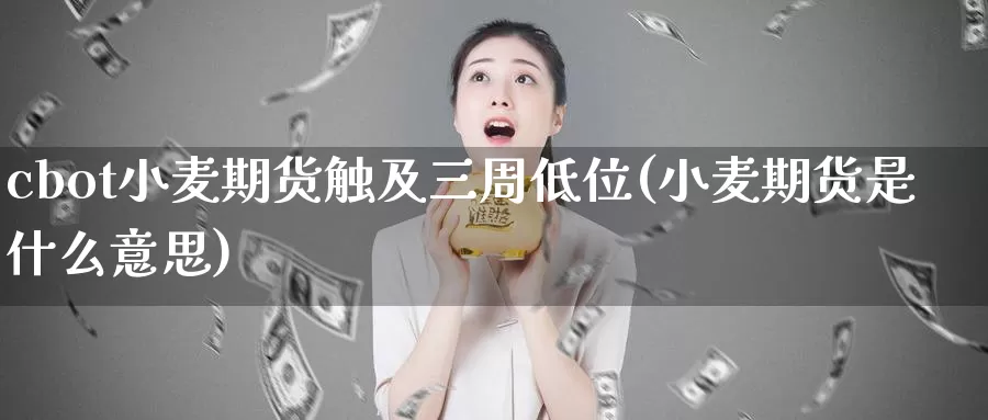 cbot小麦期货触及三周低位(小麦期货是什么意思)_https://hz.wpmee.com_纳指期货直播_第1张