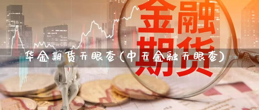 华金期货天眼查(中天金融天眼查)_https://hz.wpmee.com_德指期货直播_第1张