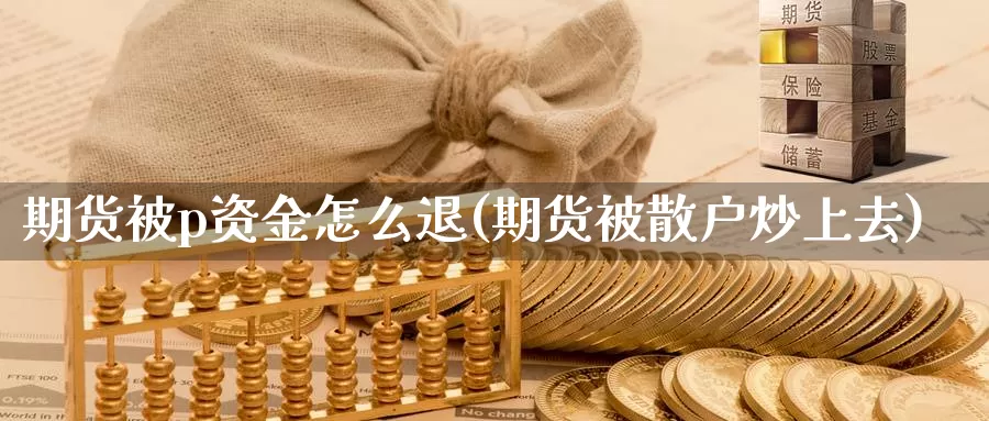 期货被p资金怎么退(期货被散户炒上去)_https://hz.wpmee.com_德指期货直播_第1张