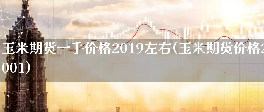 玉米期货一手价格2019左右(玉米期货价格2001)_https://hz.wpmee.com_黄金期货直播_第1张