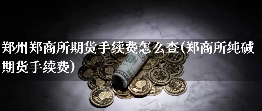 郑州郑商所期货手续费怎么查(郑商所纯碱期货手续费)_https://hz.wpmee.com_纳指期货直播_第1张