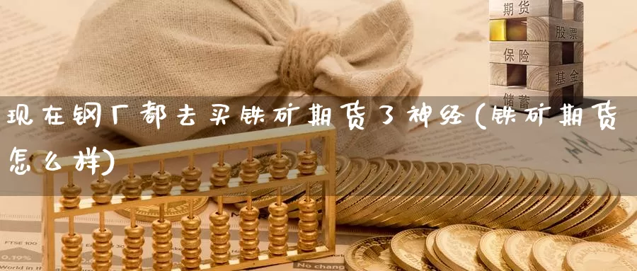 现在钢厂都去买铁矿期货了神经(铁矿期货怎么样)_https://hz.wpmee.com_黄金期货直播_第1张