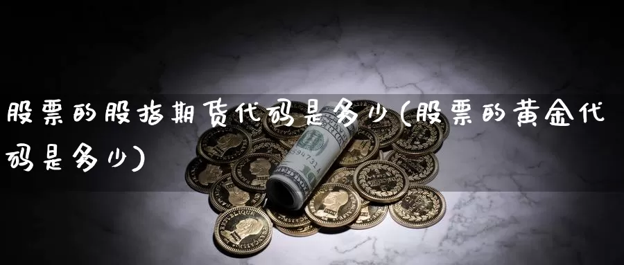 股票的股指期货代码是多少(股票的黄金代码是多少)_https://hz.wpmee.com_黄金期货直播_第1张