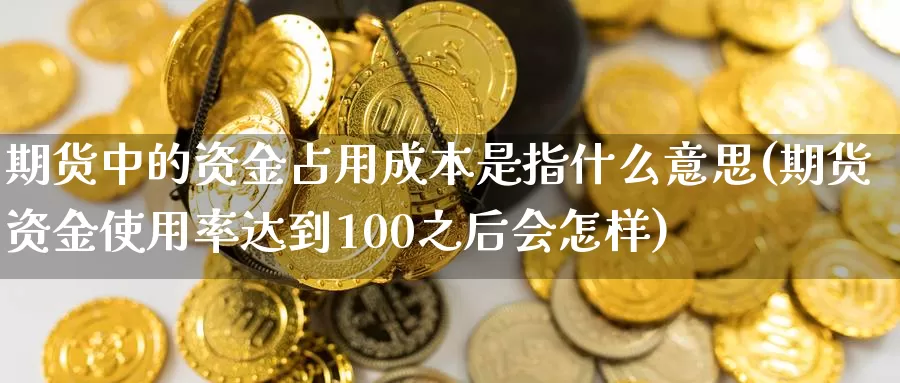 期货中的资金占用成本是指什么意思(期货资金使用率达到100之后会怎样)_https://hz.wpmee.com_德指期货直播_第1张