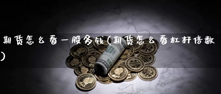 期货怎么看一股多钱(期货怎么看杠杆倍数)_https://hz.wpmee.com_国际期货直播_第1张