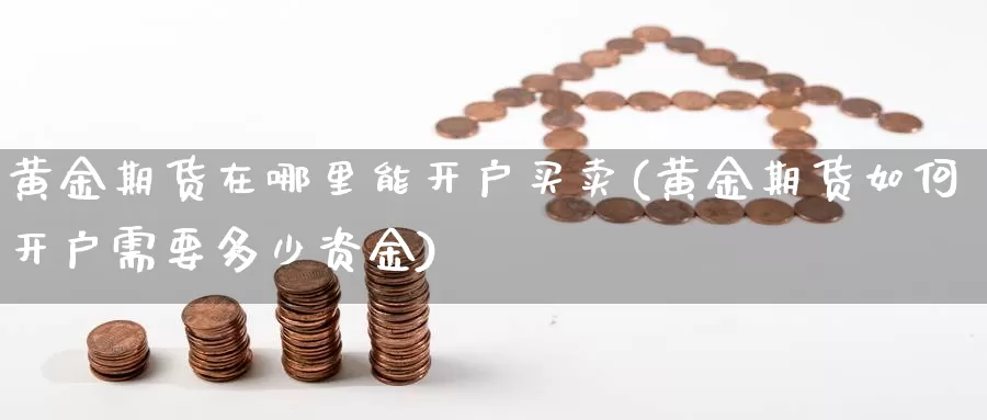 黄金期货在哪里能开户买卖(黄金期货如何开户需要多少资金)_https://hz.wpmee.com_德指期货直播_第1张