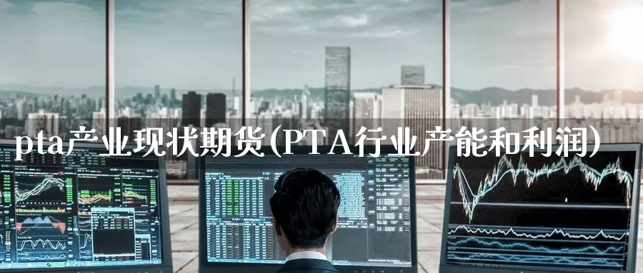 pta产业现状期货(PTA行业产能和利润)_https://hz.wpmee.com_国际期货直播_第1张