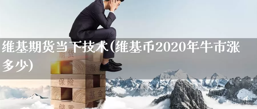 维基期货当下技术(维基币2020年牛市涨多少)_https://hz.wpmee.com_德指期货直播_第1张