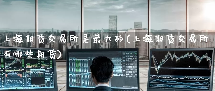 上海期货交易所是最大的(上海期货交易所有哪些期货)_https://hz.wpmee.com_外盘期货直播_第1张
